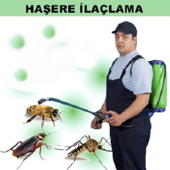 Samandağ Böcek İlaçlama